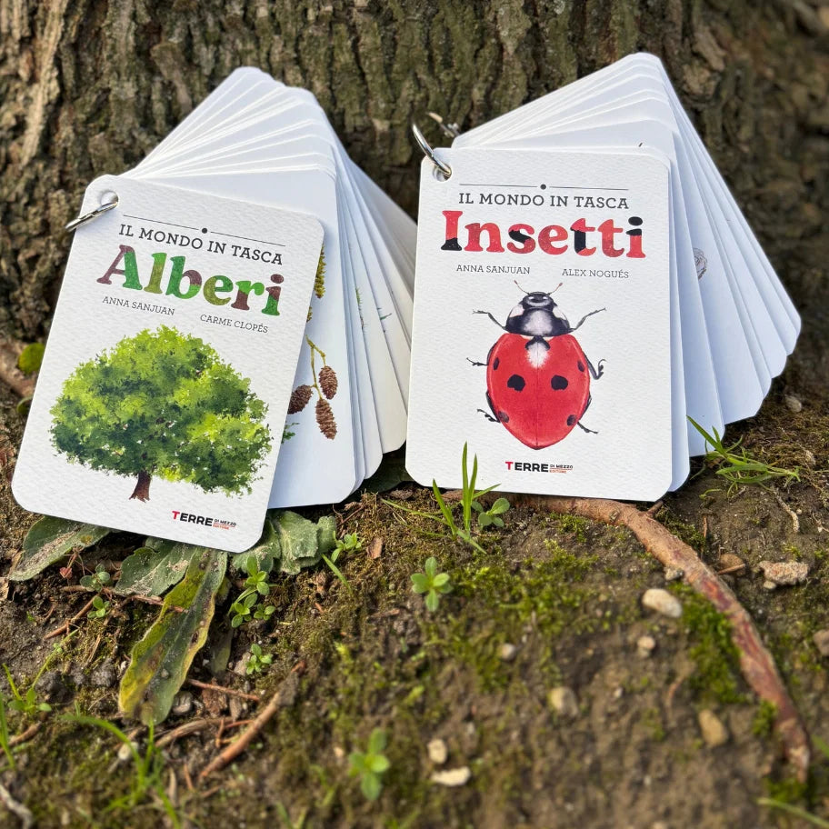 Il mondo in tasca