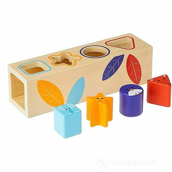 Scatola delle Forme Boita