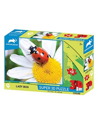 Coccinella 3D Puzzle