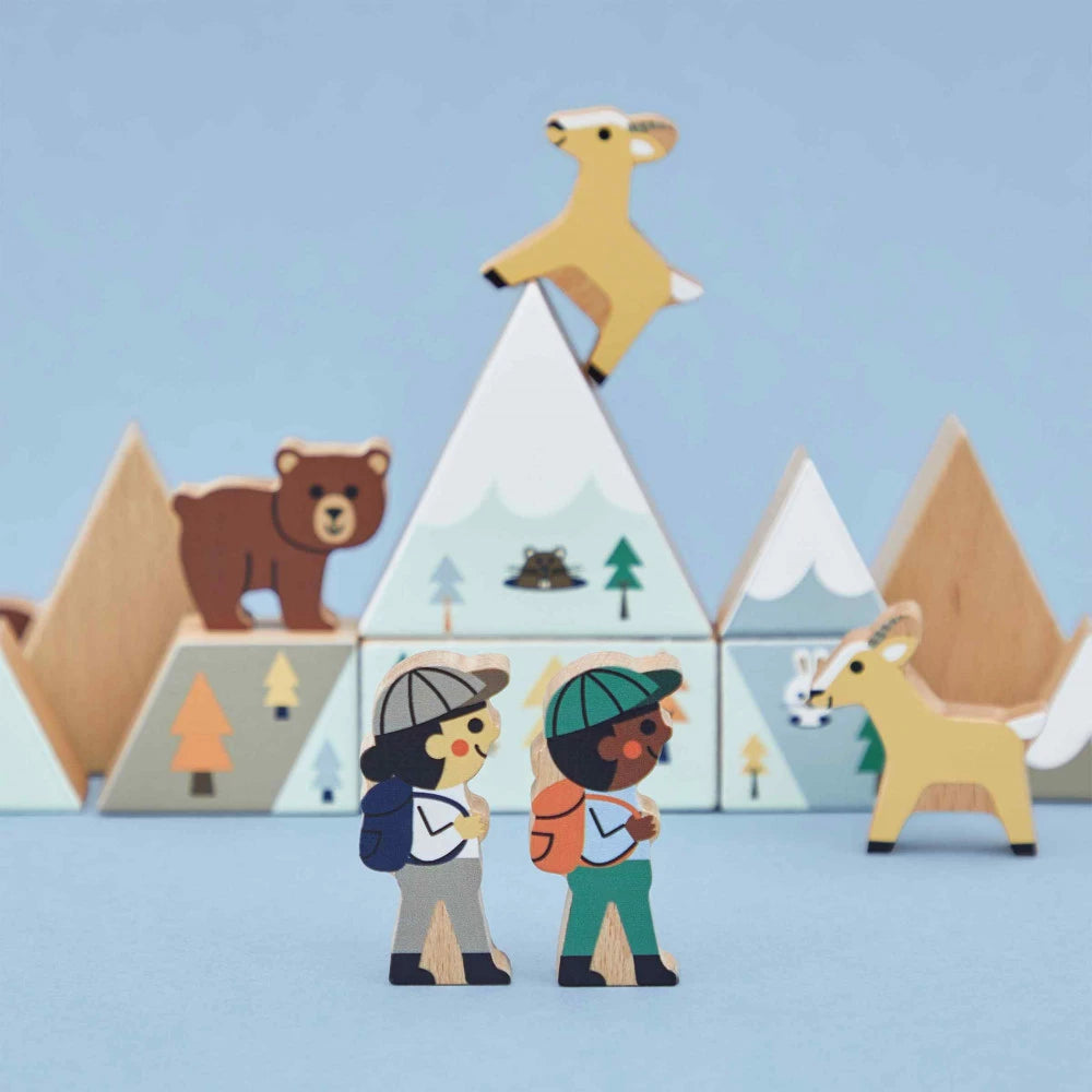 Playset Cubi di legno Tematici