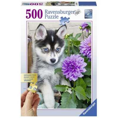 Husky (puzzle 500 pz)