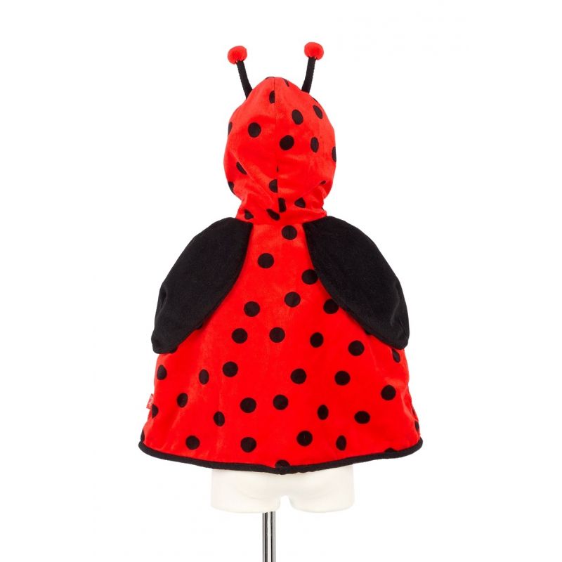 Mantellina coccinella