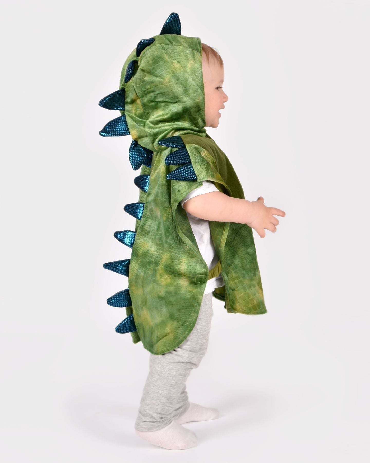 Mantellina dino