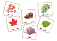 Le mie carte della natura Montessori