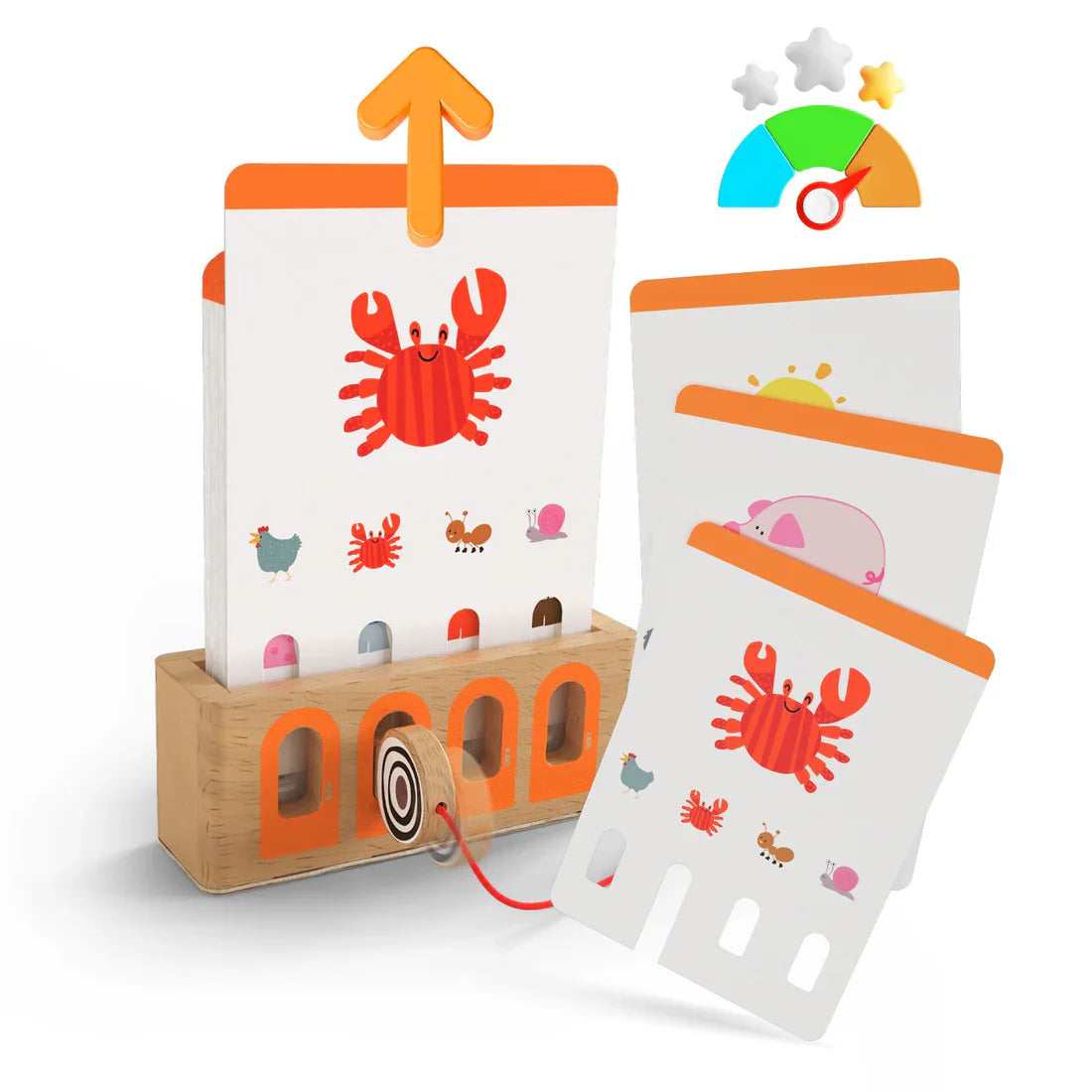 Chiavi Logiche Topbright