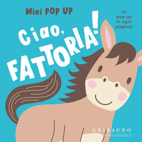 Mini Libri Pop-up