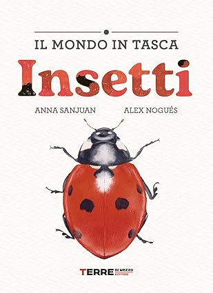 Il mondo in tasca