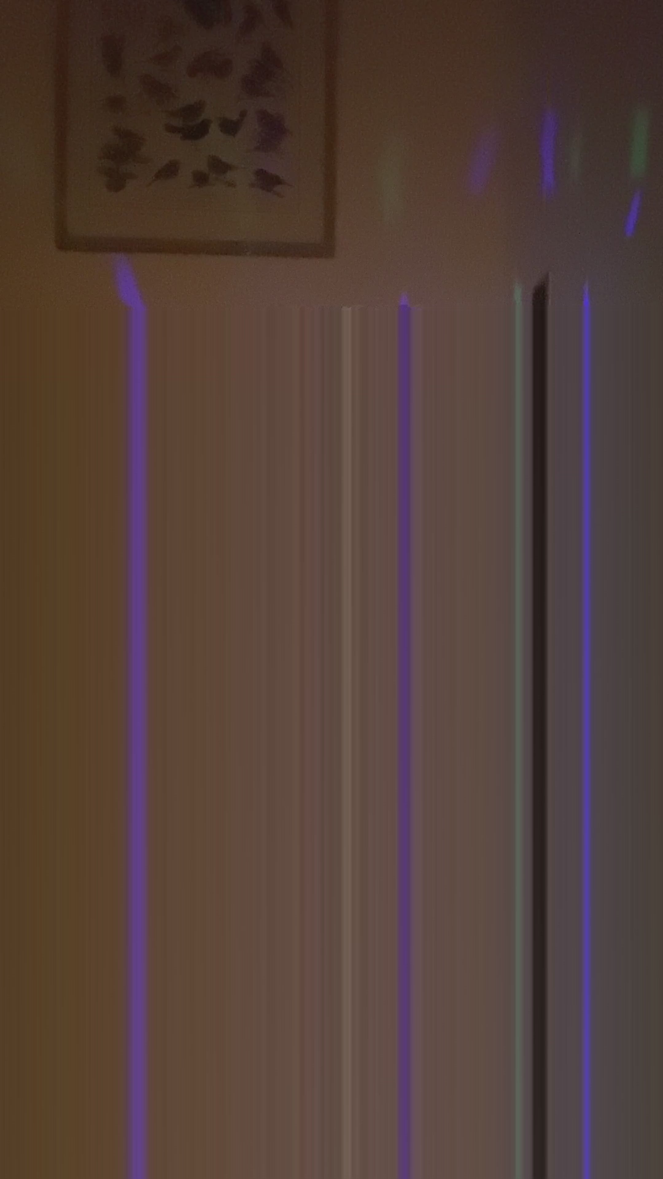 Lampada-proiettore musicale Tartaruga