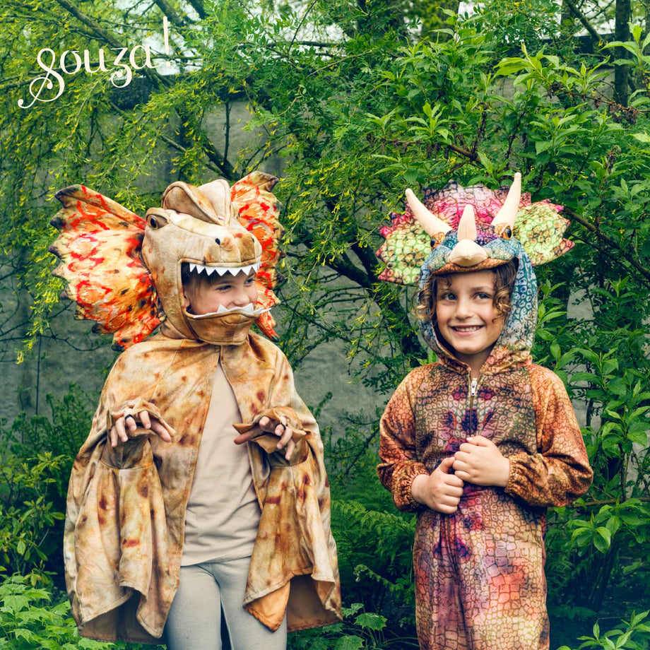 Costume triceratopo bambino hotsell