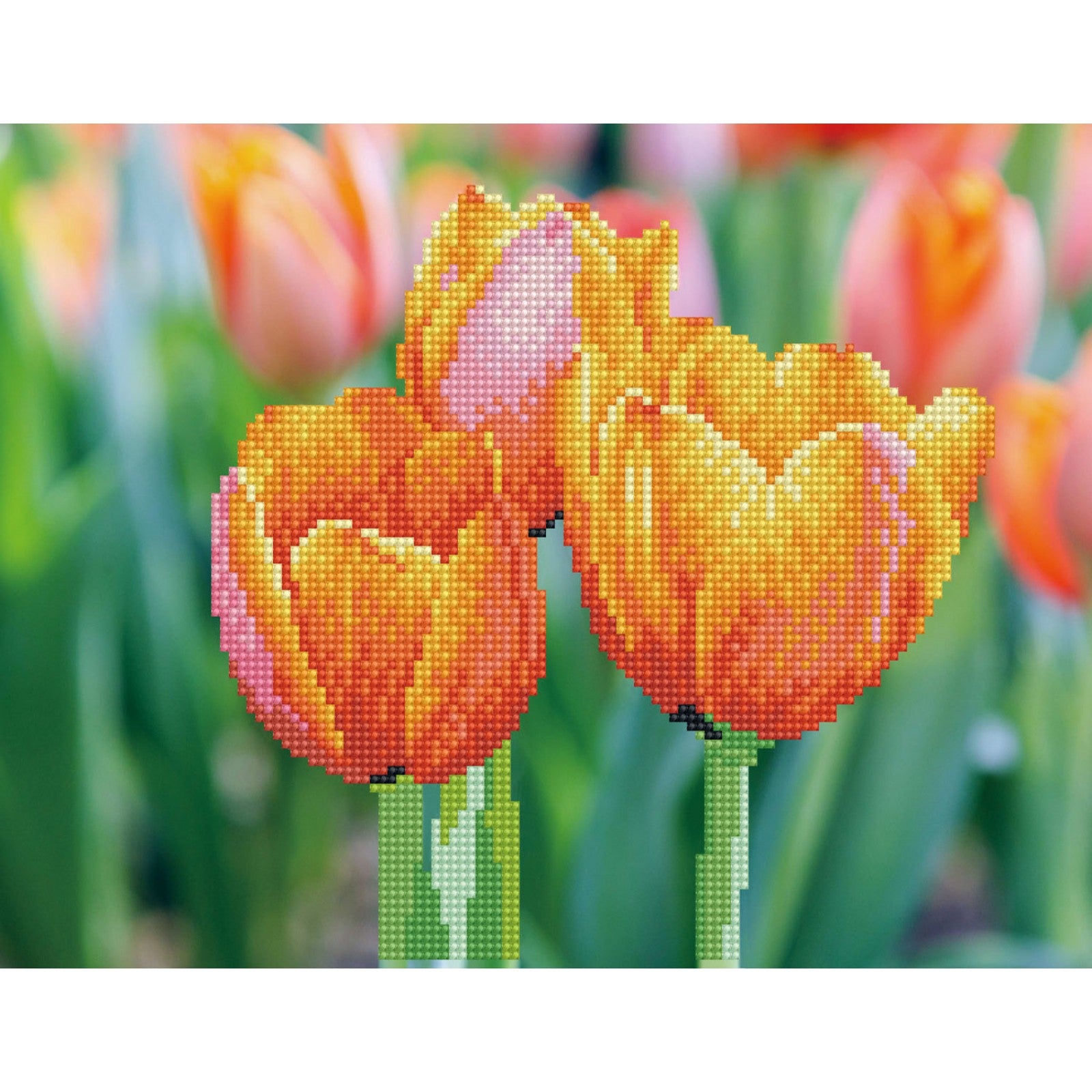 Diamond Dotz - Diamond Painting