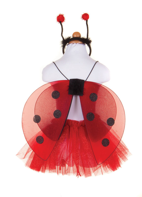 SET TRAVESTIMENTO COCCINELLA 4-7 anni